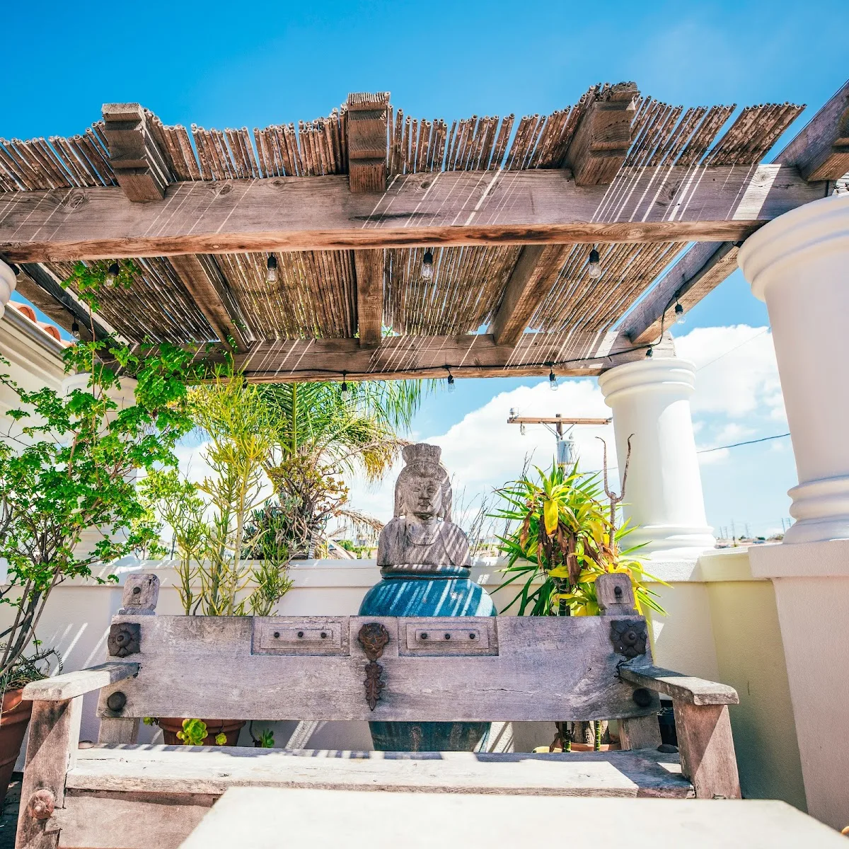 Bodhi Casa Recovery Services - Photo 4