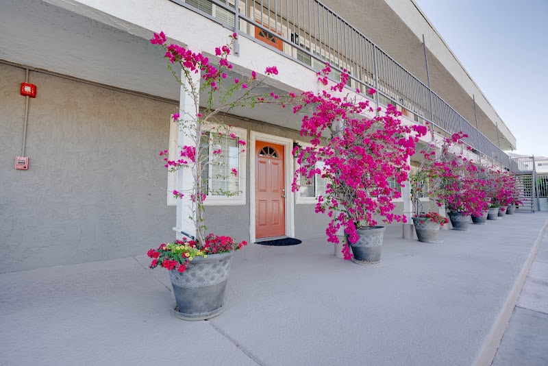 California Behavioral Health