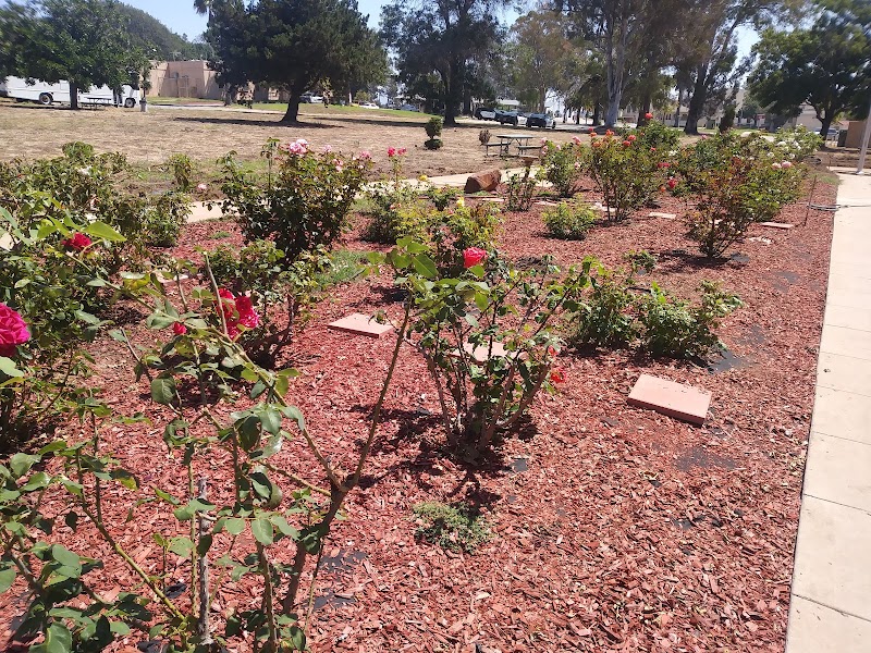 New Directions For Veterans