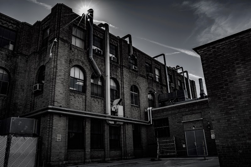 New Directions For Veterans