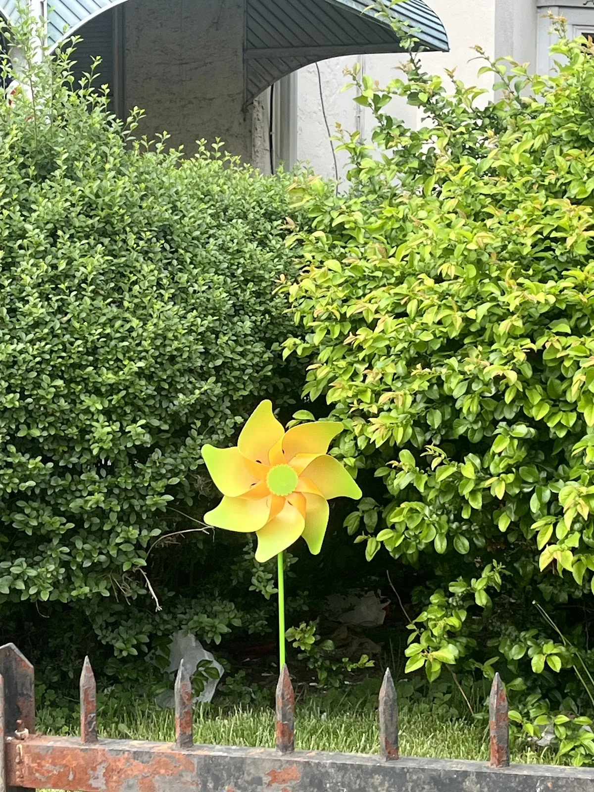 New Path Recovery Center Inc