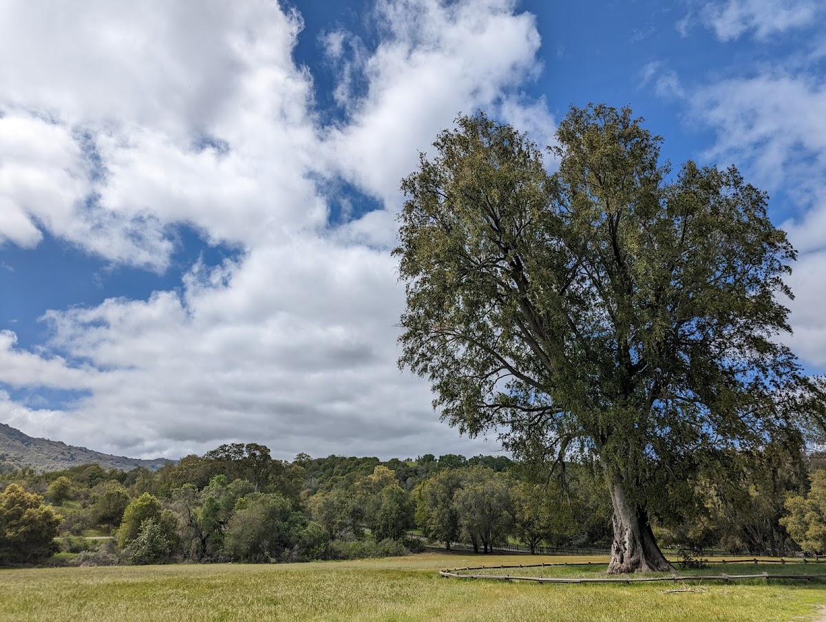 Rancho SAN Antonio